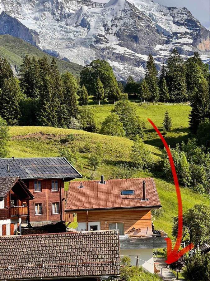 Apartmán Chalet Viola Wengen Exteriér fotografie