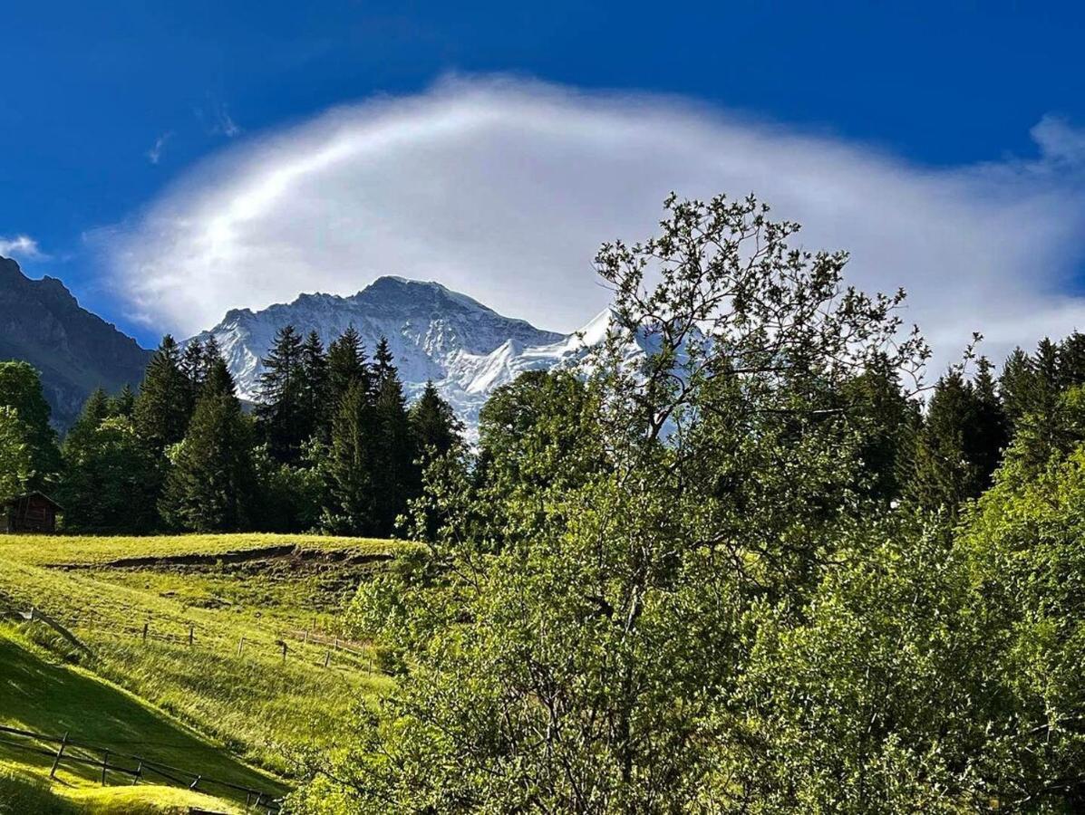 Apartmán Chalet Viola Wengen Exteriér fotografie