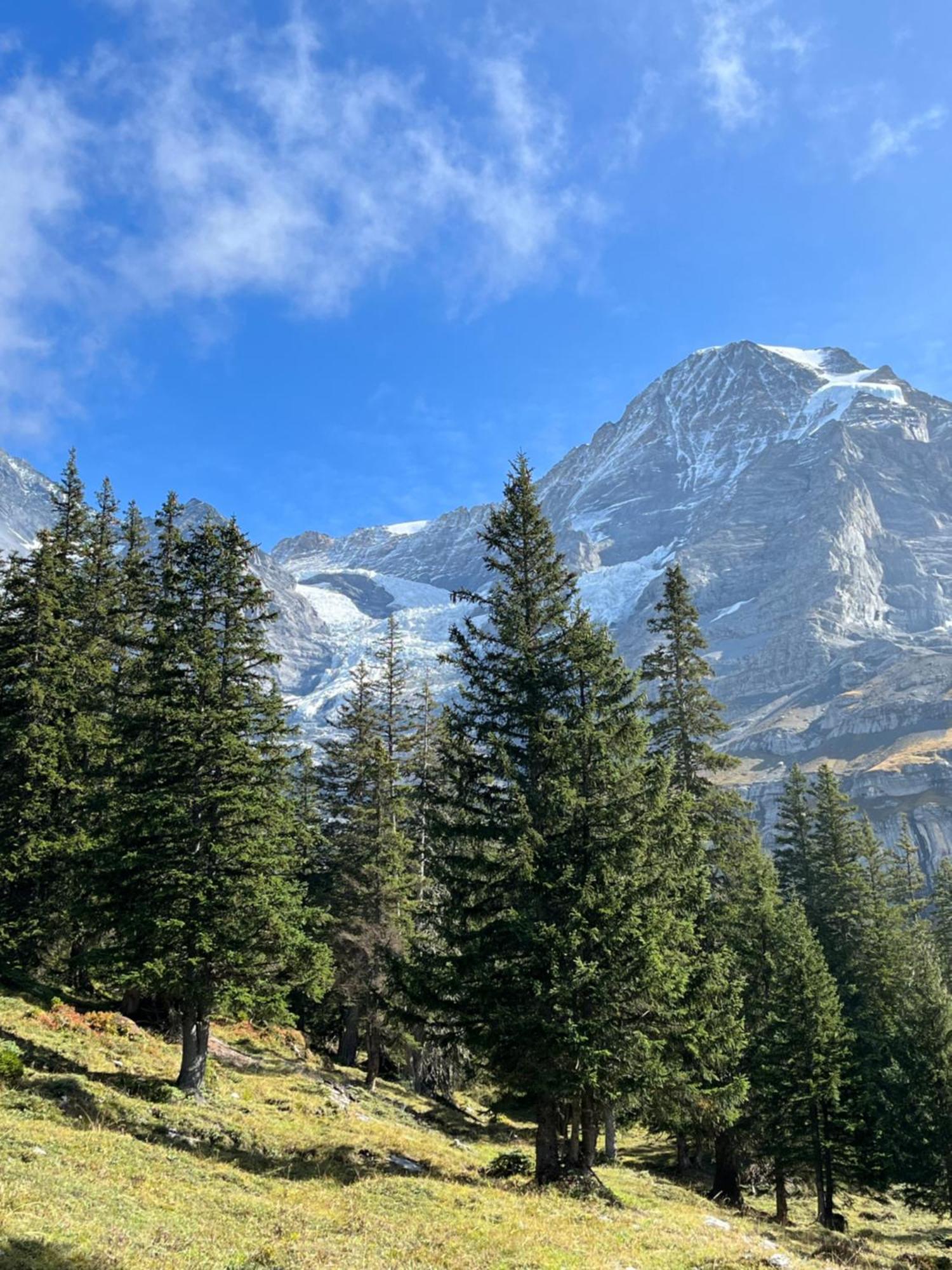 Apartmán Chalet Viola Wengen Exteriér fotografie