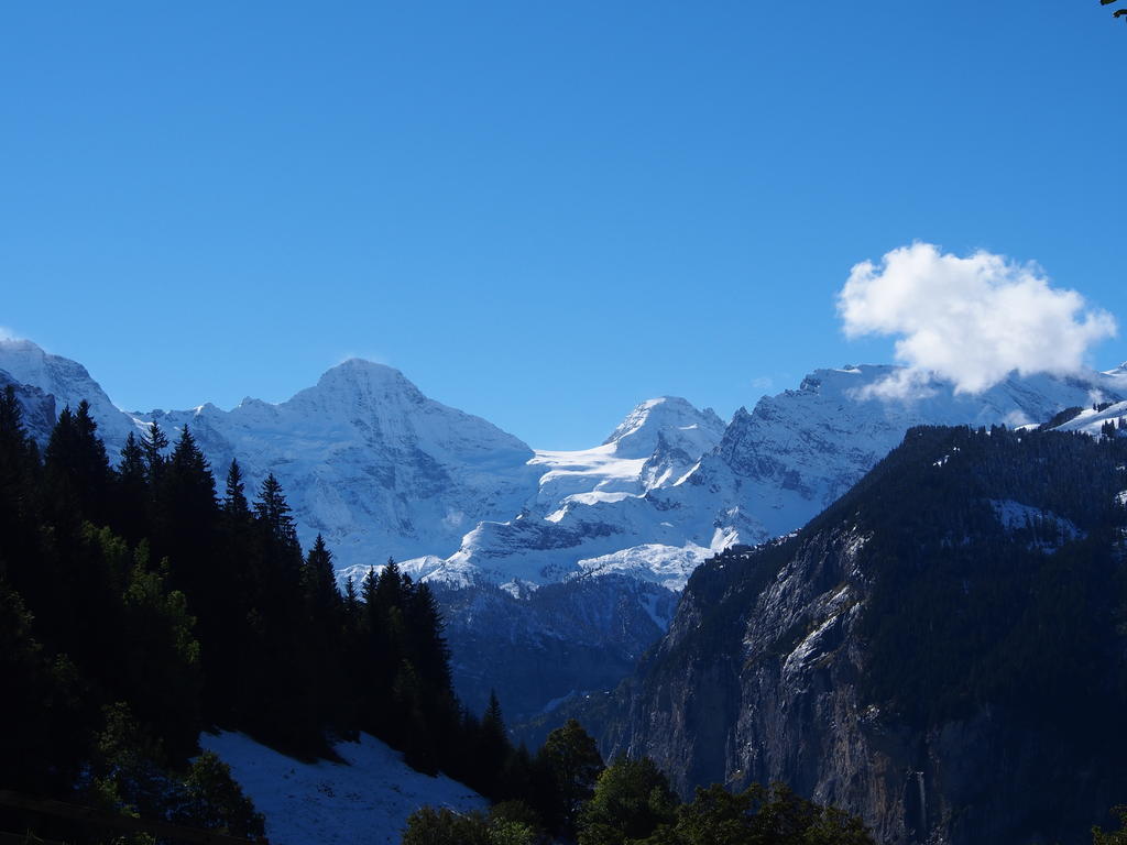 Apartmán Chalet Viola Wengen Exteriér fotografie